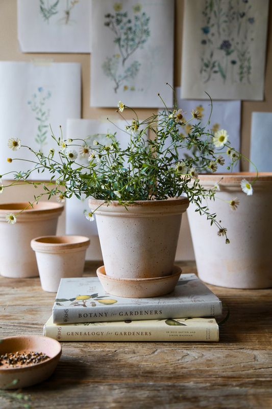 Flora Raw Rosa ø 12 cm- Bergs potter